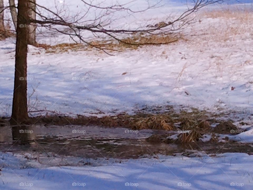 Winter stream