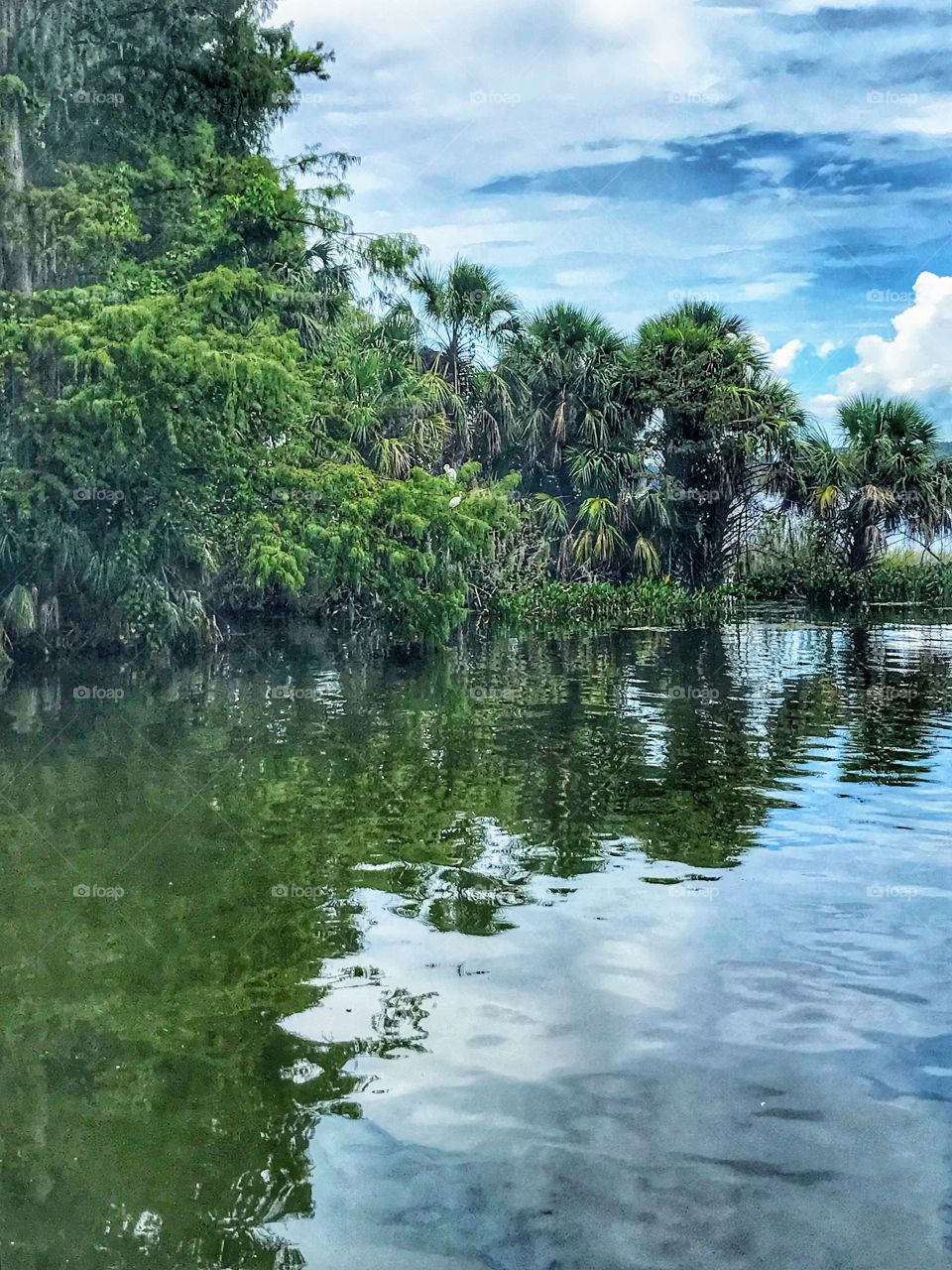 Lakeside in Mount Dora