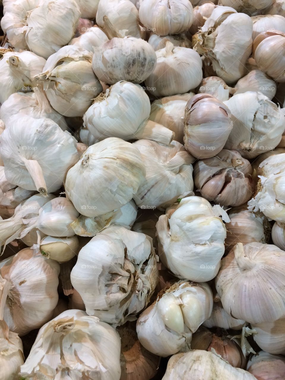 Garlic 