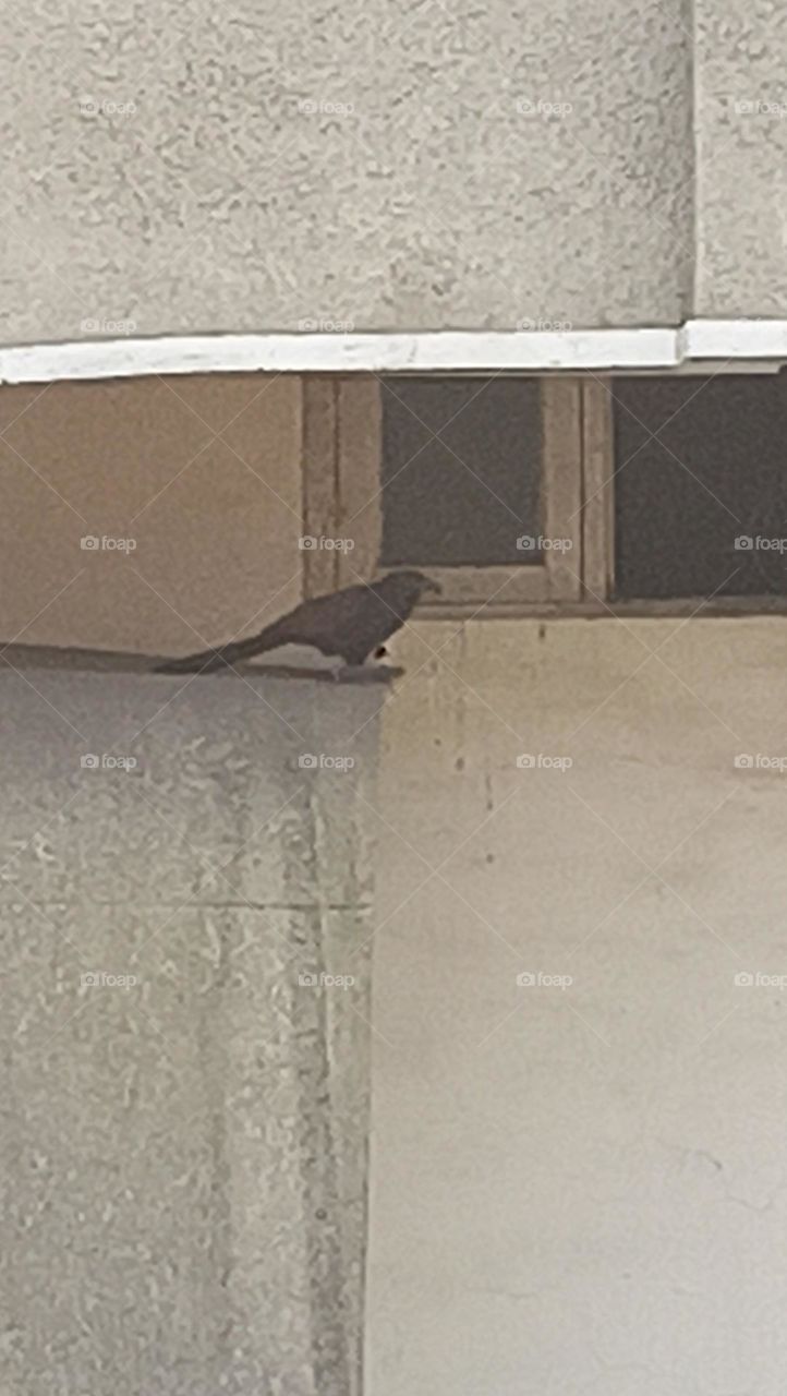 unique me will remake me positive in all aspects