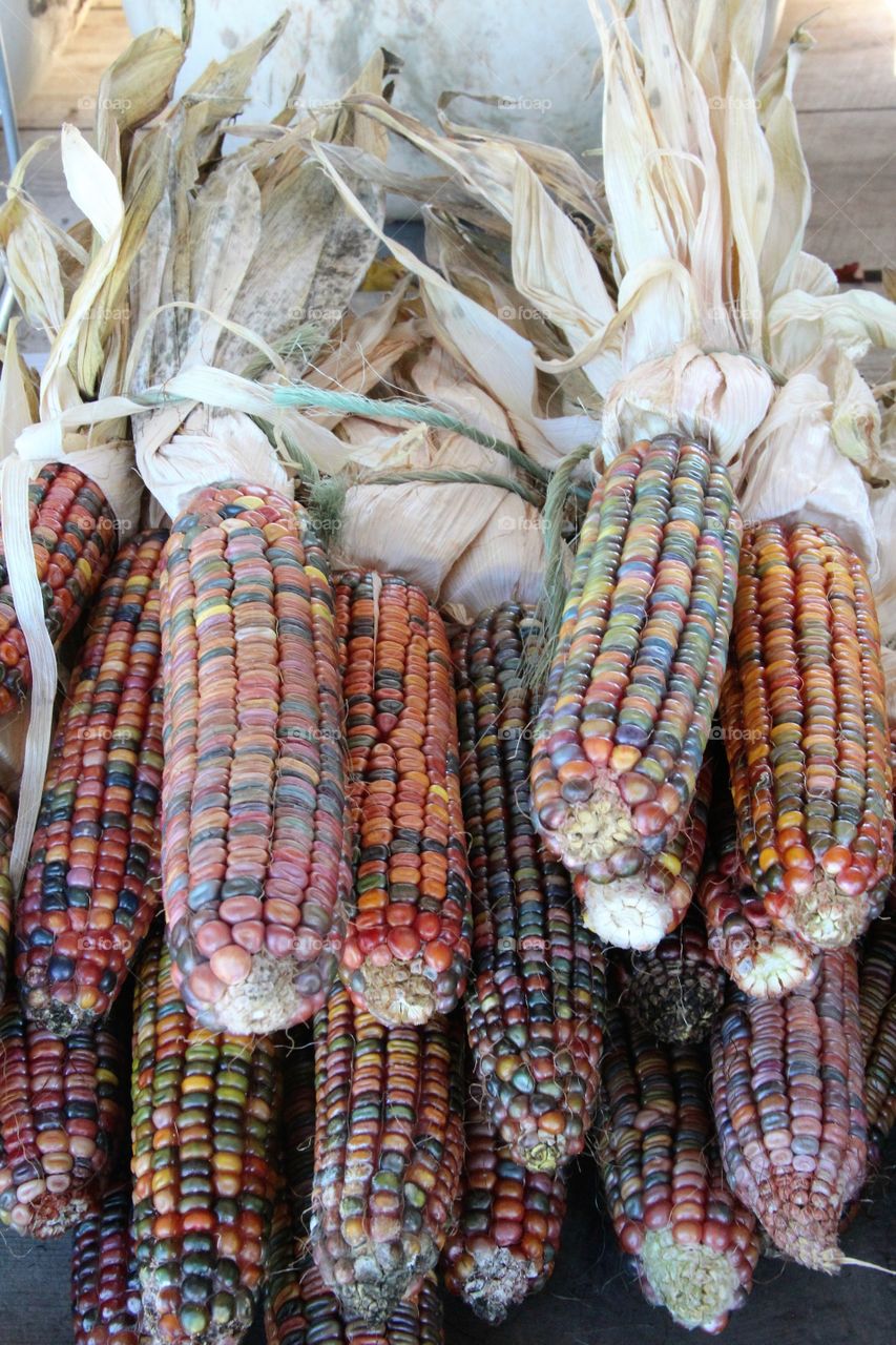 Heritage corn