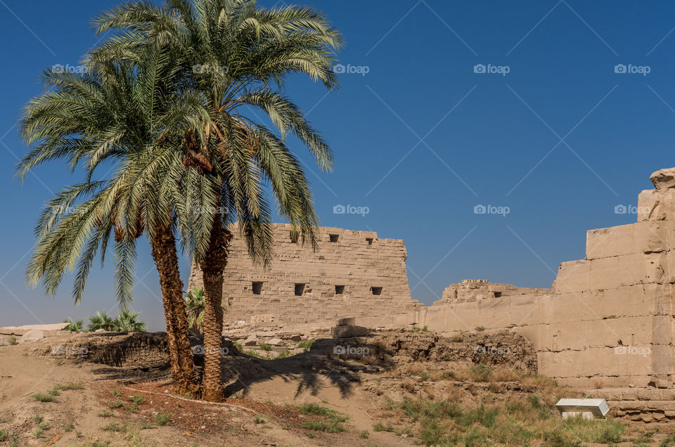 View of karnak tample