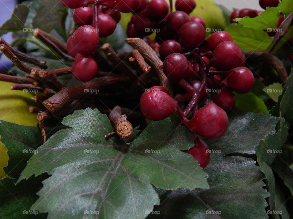 Christimas decoration