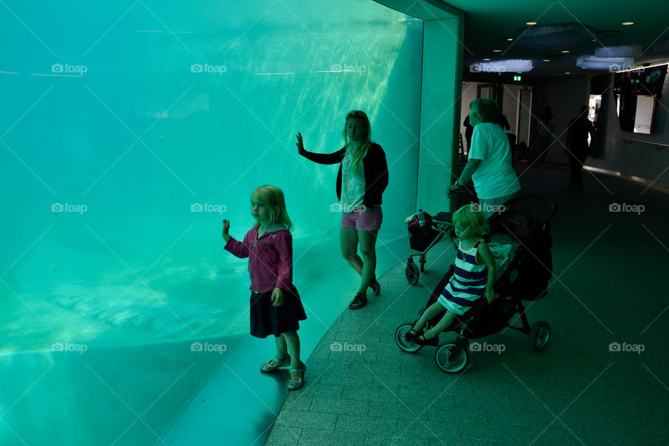 Copenhagen Zoo in Denmark, family viewing the polar bears.