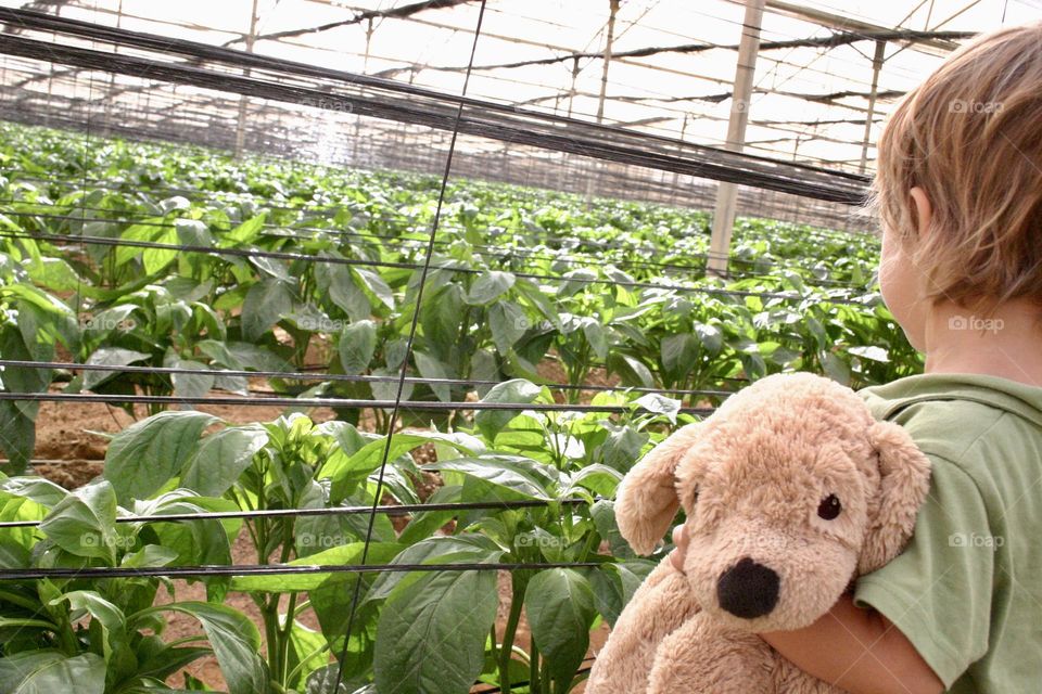 Boy with his puppy doll in greenhouse 