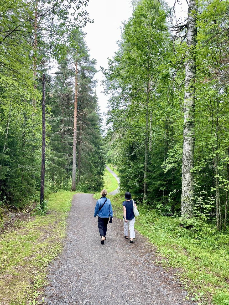 Going for a walk through the peaceful Finish forest 