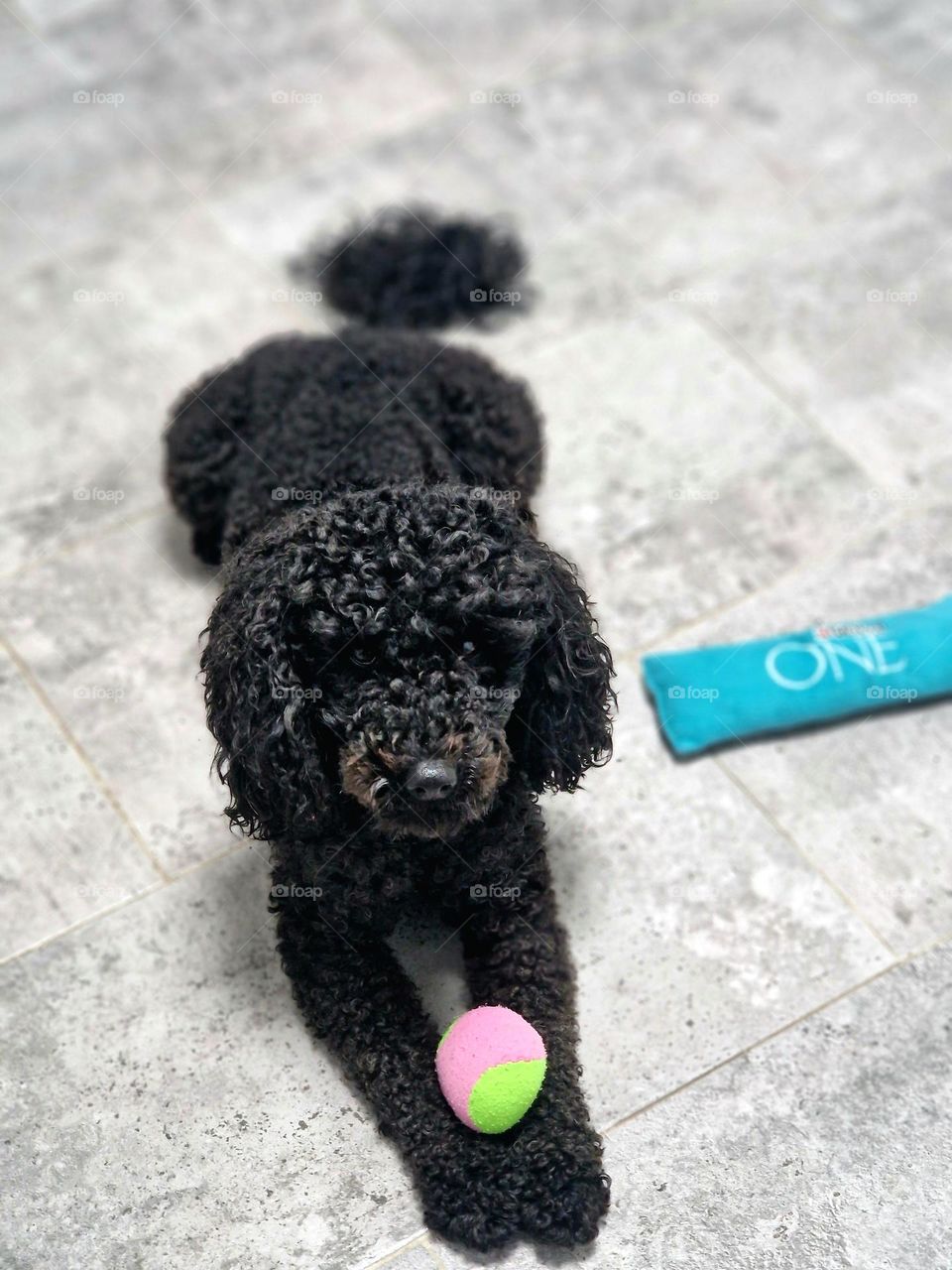 Bingo is played with the ball