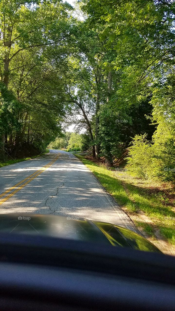 out for a drive