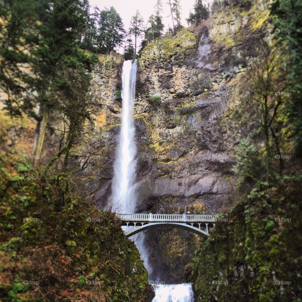 Multonomah Falls