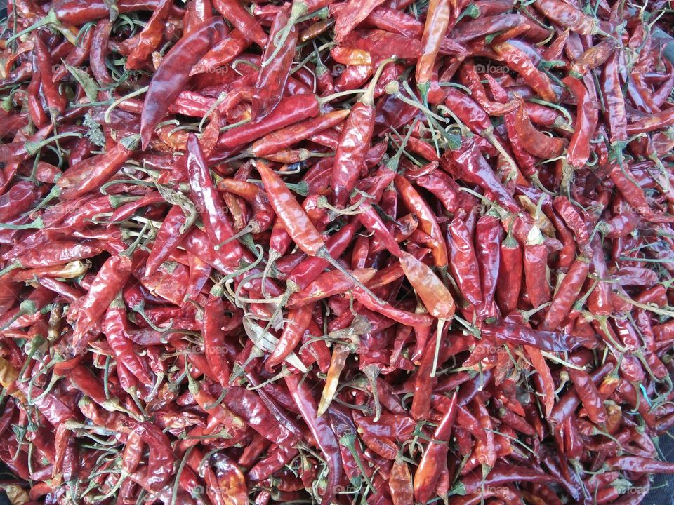 spice red chili