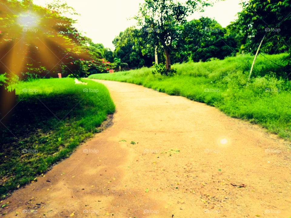 this is a road.and with nature .beautiful looking ..