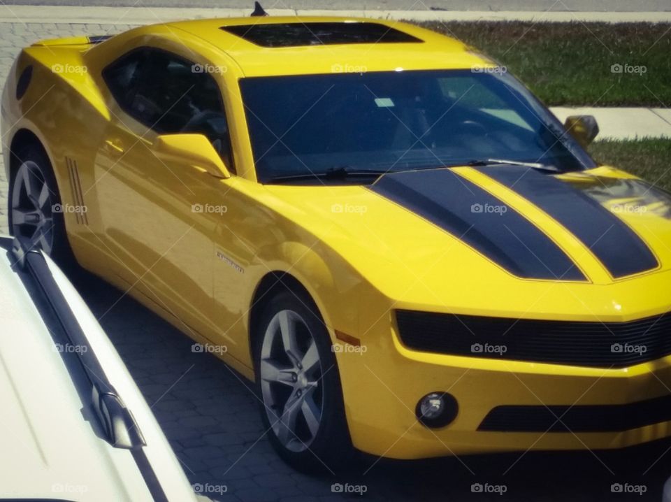 Yellow Camaro