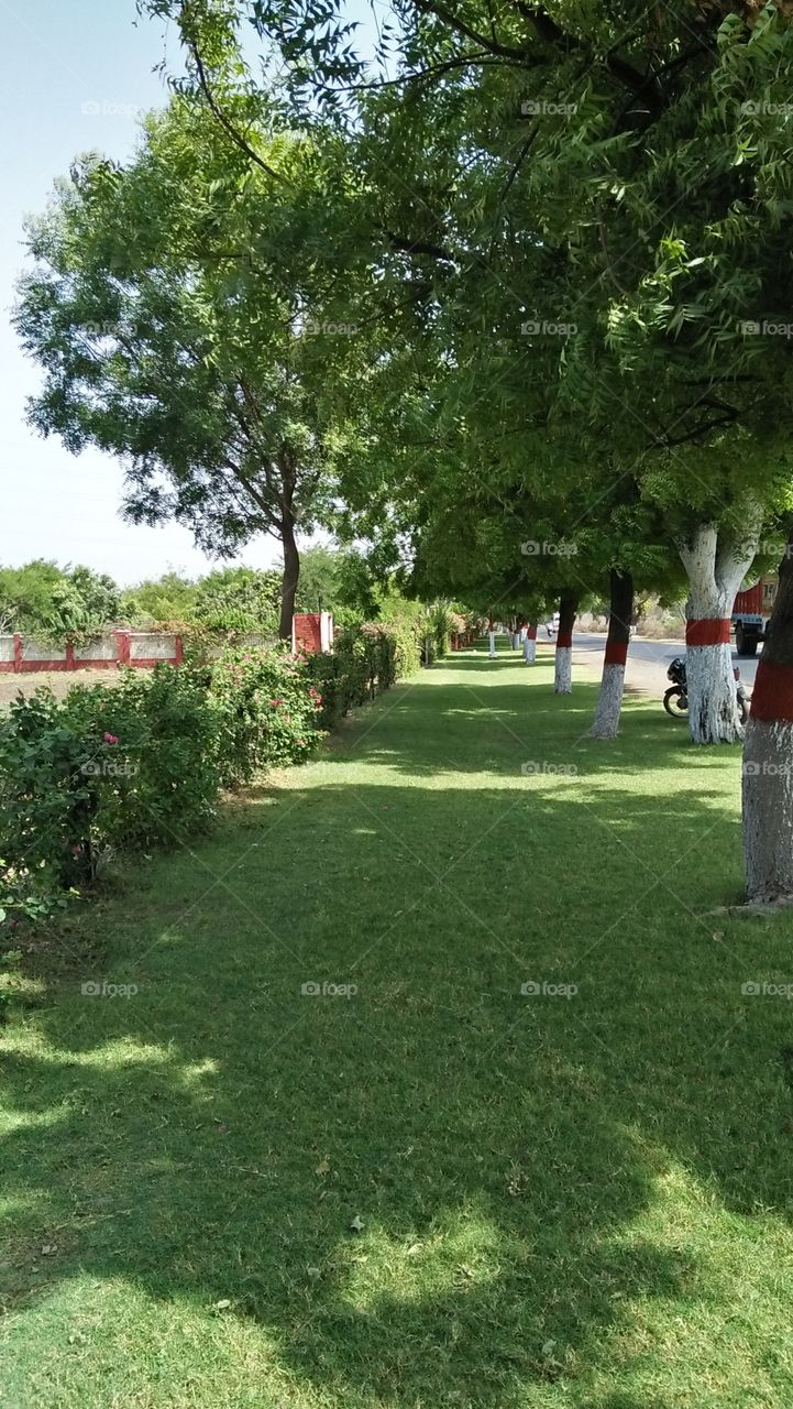 Radhaswami Satsang Nyas,Garden with beautiful trees and grass.
