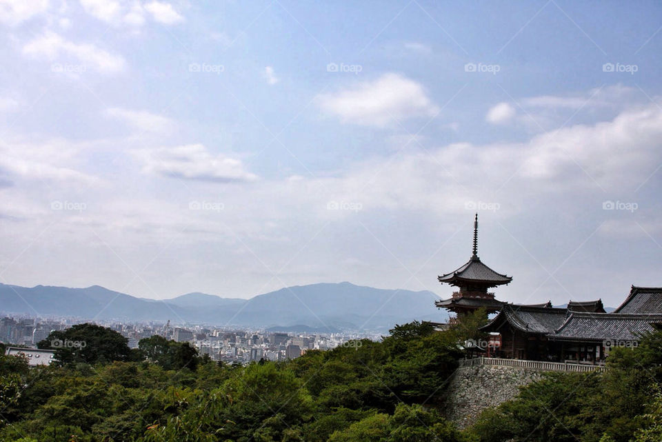 city travel trees japan by javidog