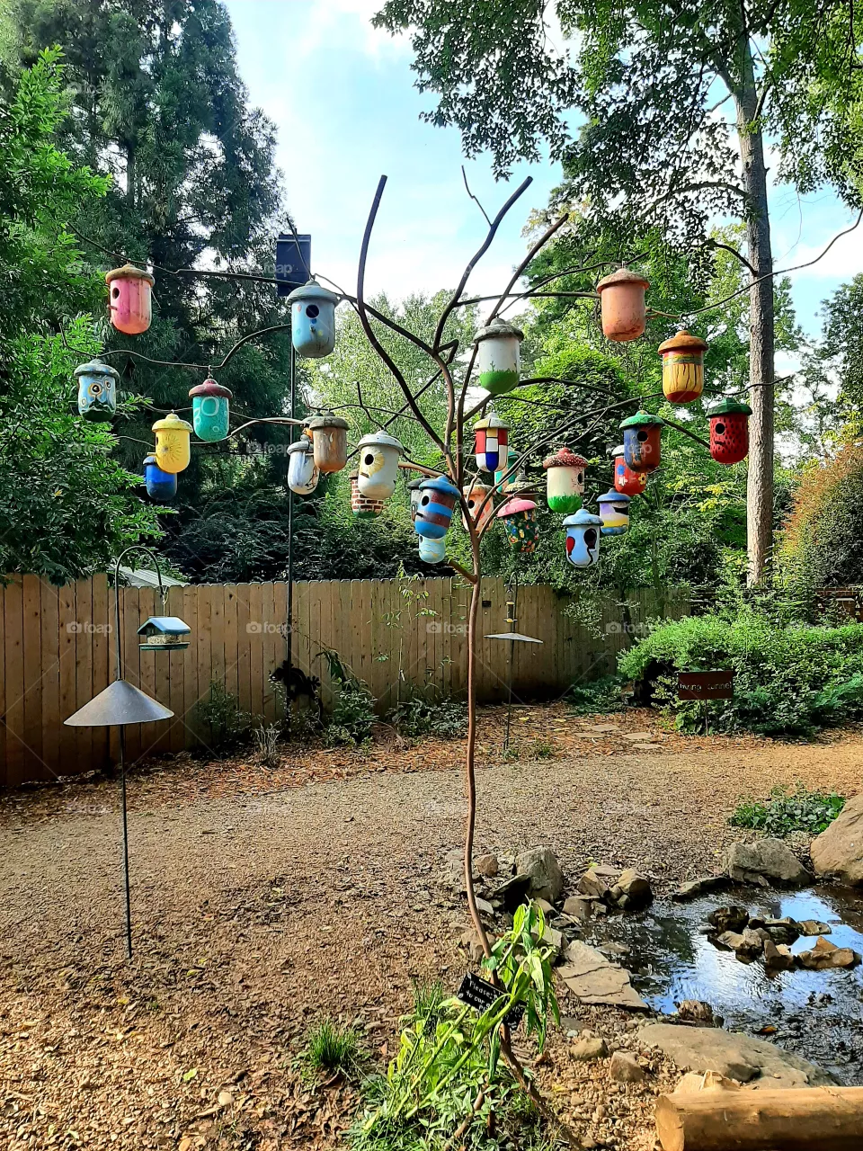 For birds