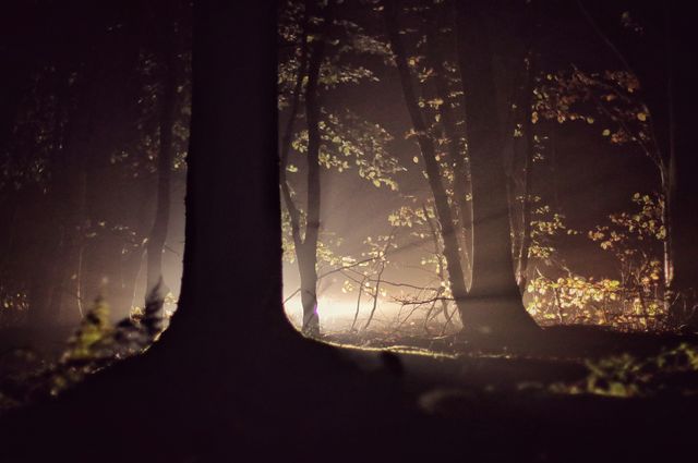 In the middle of the night