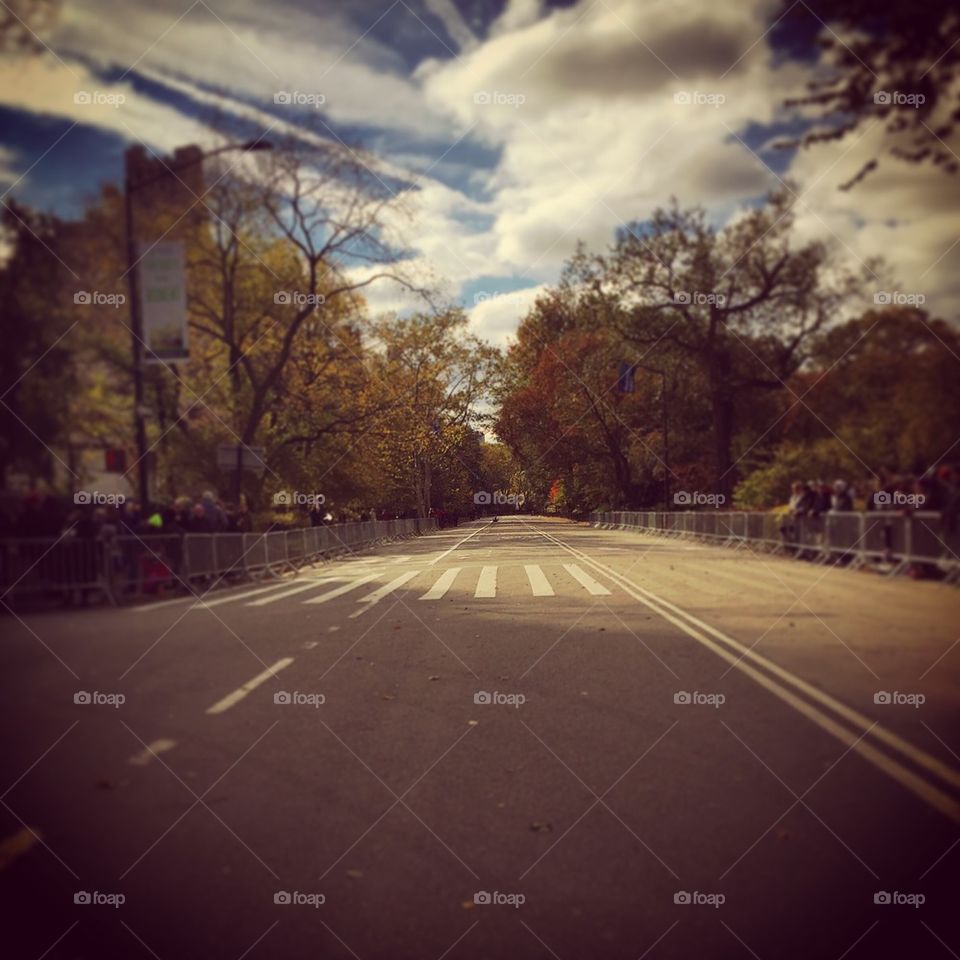 Central Park Marathon