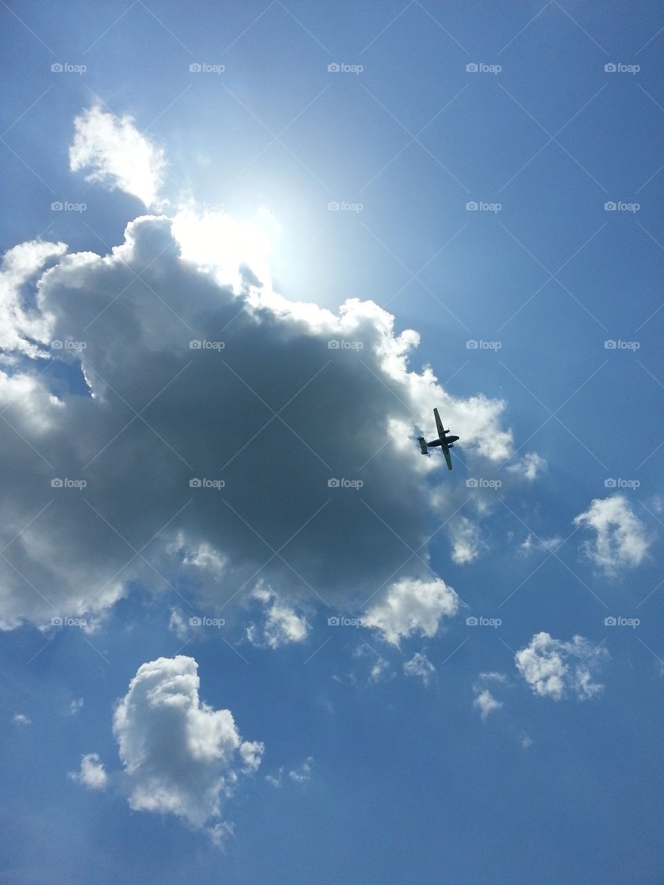 Flying Over the Gulf 