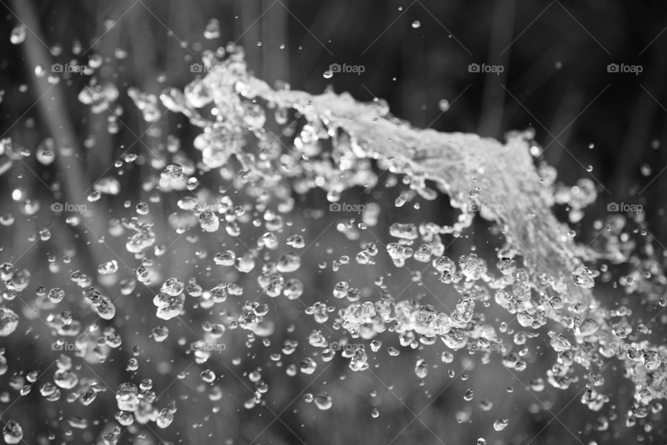water splash incl close up photography