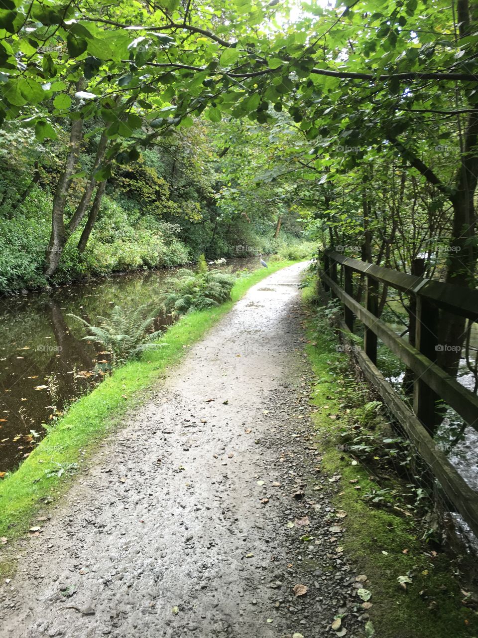 Hebden canal