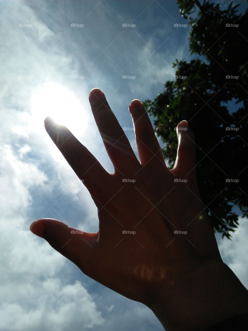 reaching the sun