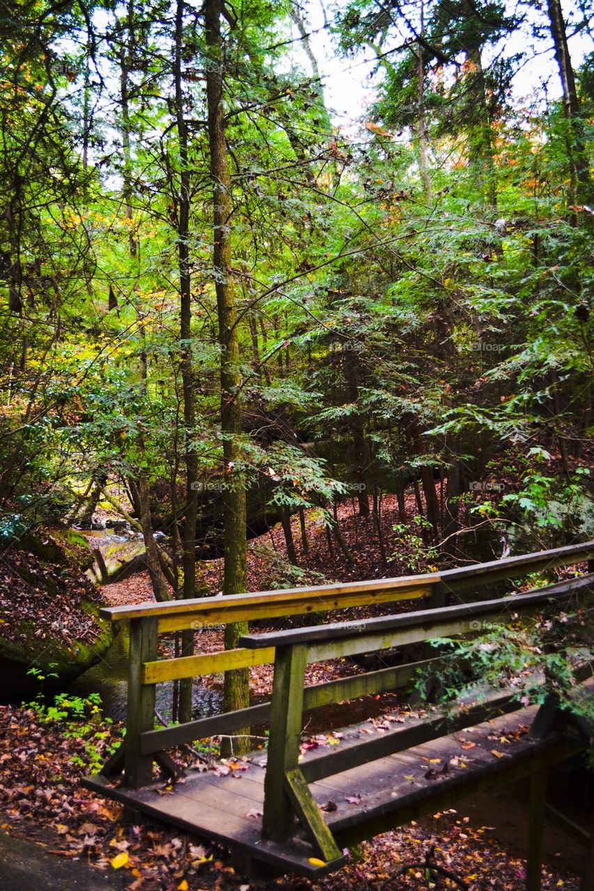 A Bridge in the Canyon