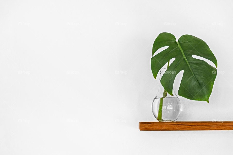 Minimalist photo of green leaf in vase on floating shelf