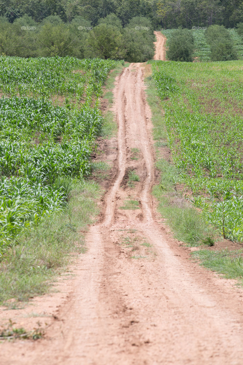 Agricultural road