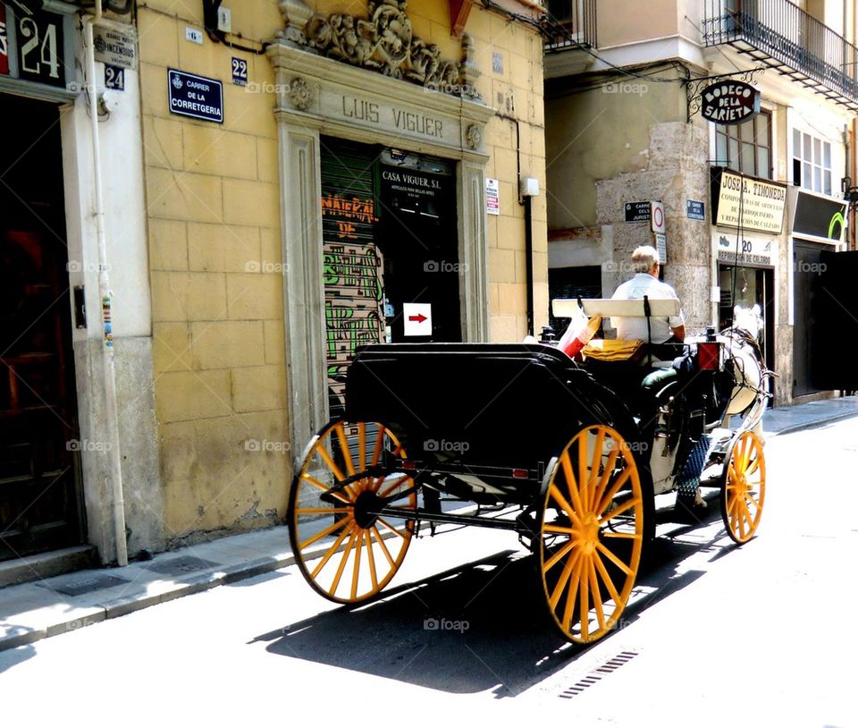 Horse on the streets of Valencia