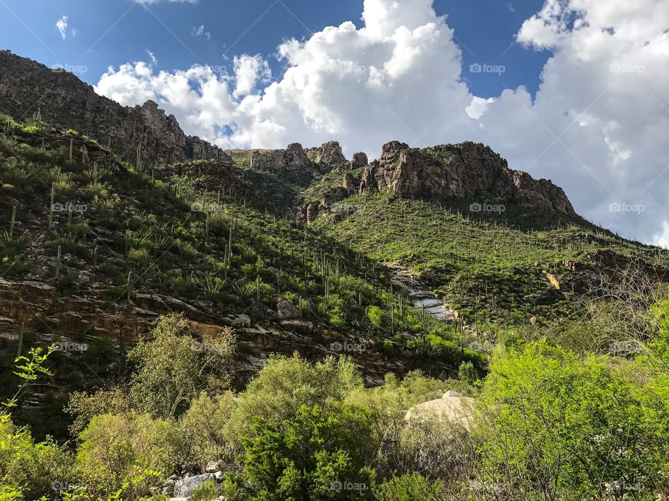 Nature Mountain Landscape - Sabino Canyon in Tucson, Arizona 