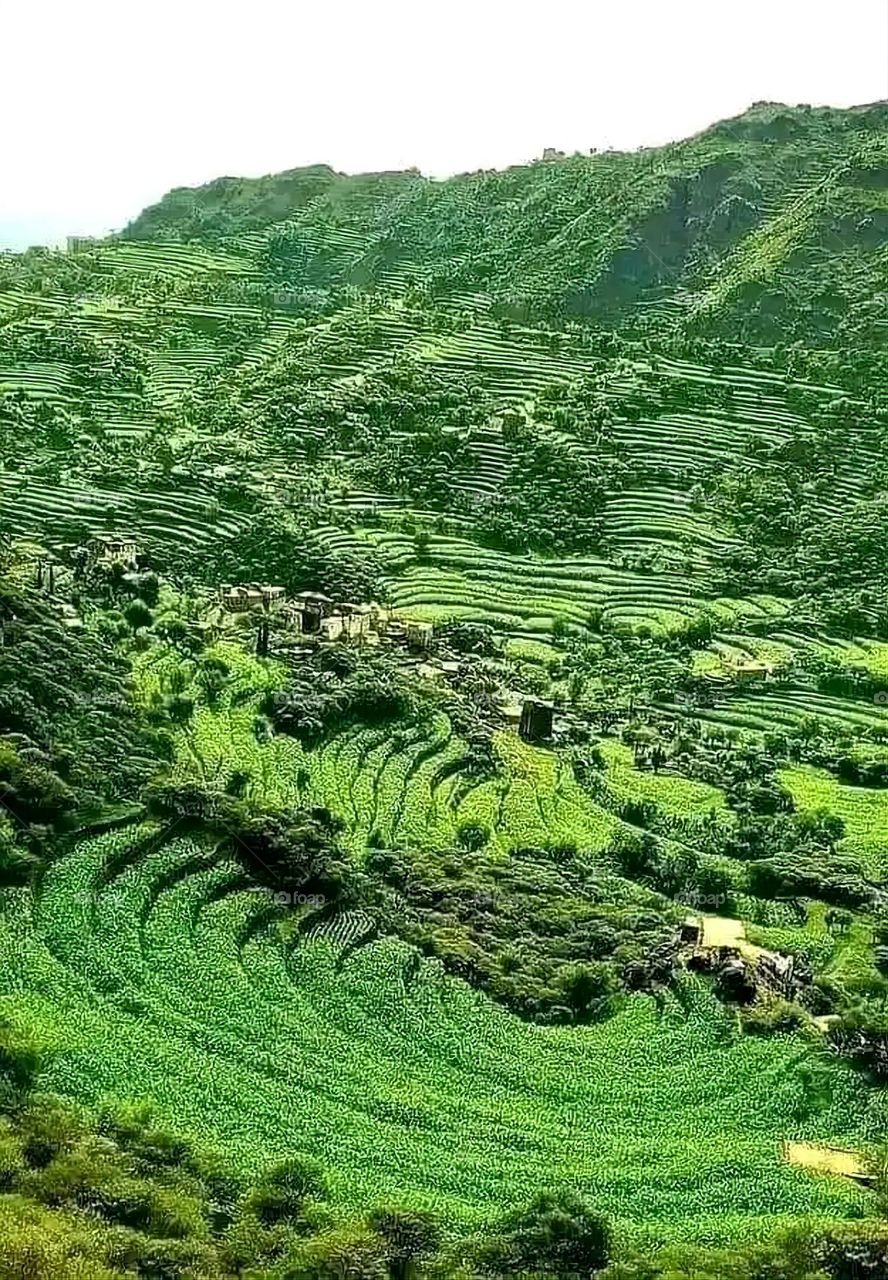 Glory be to God, the magnificent and picturesque view and the natural green trees are a view that is nothing more wonderful than it