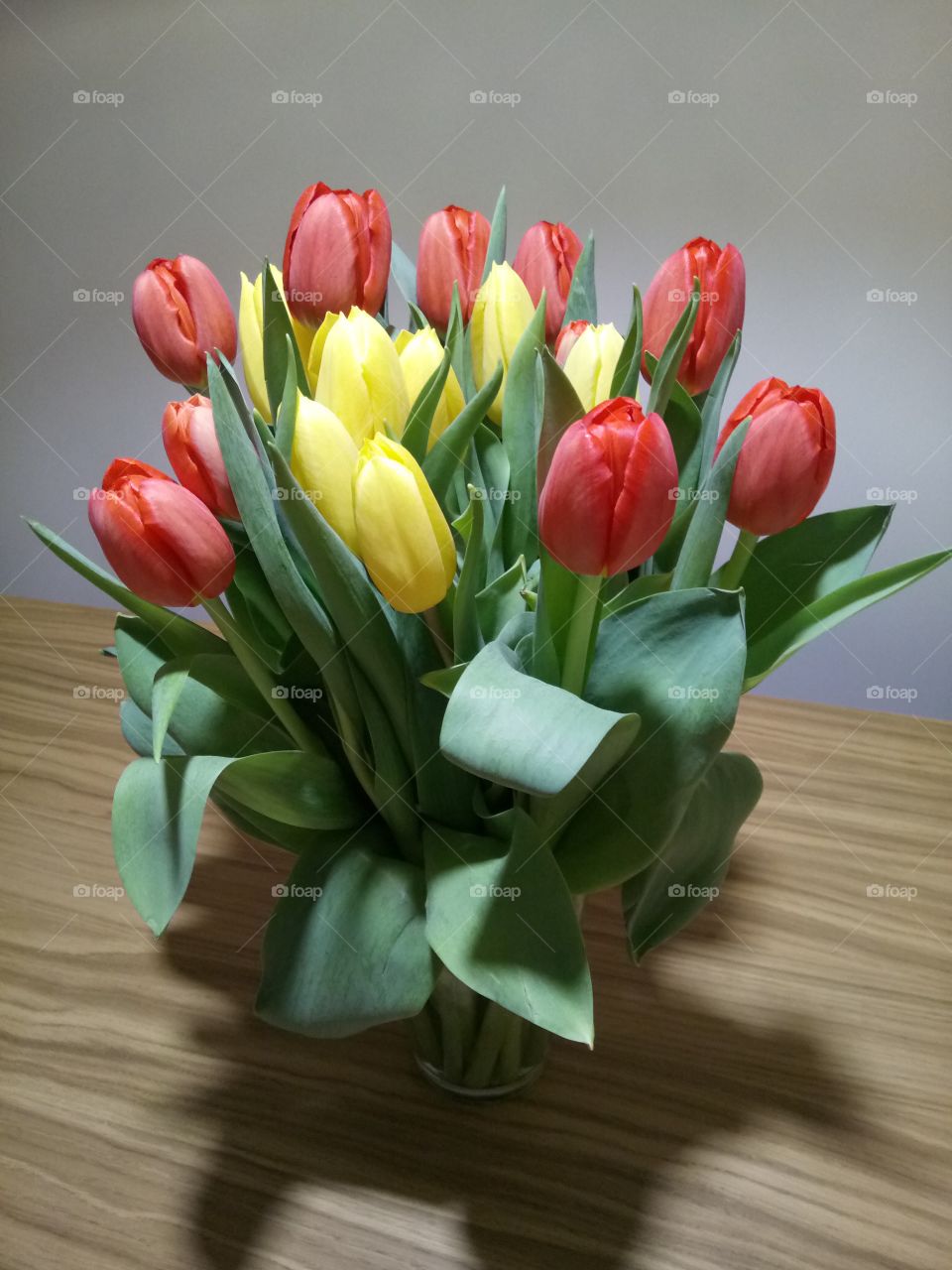 Flowers, tulip 2