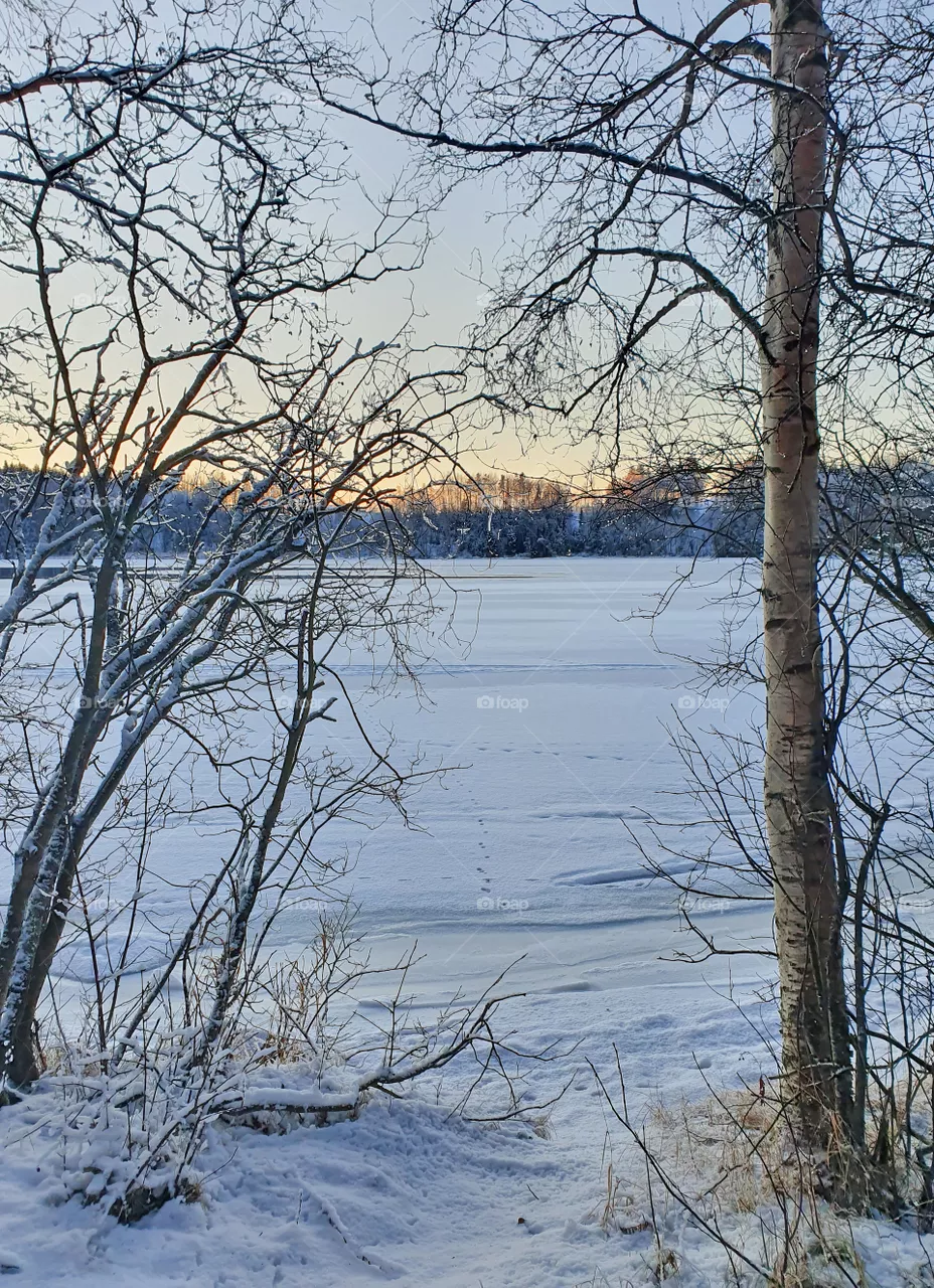 winter