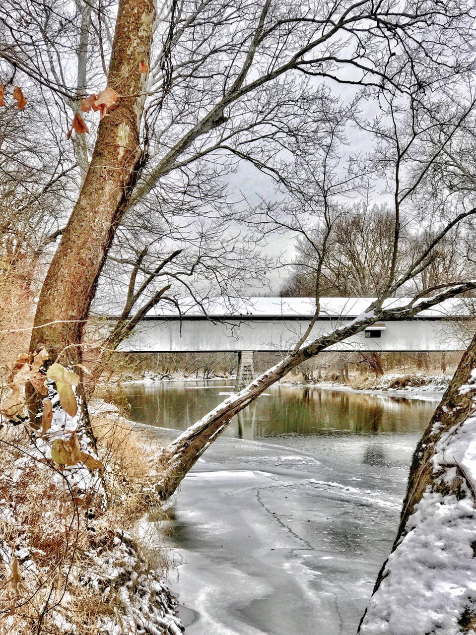 Beautiful winter on the white river in Indiana. 