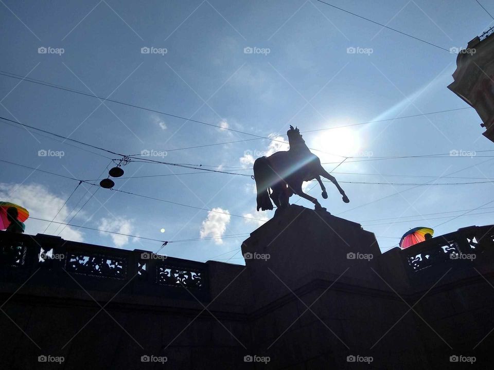 Horse Monument Bridge Saint Petesburg Russia