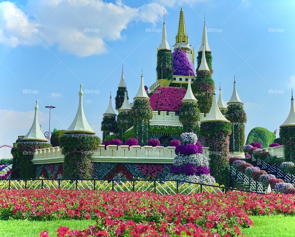 Wonderful flower garden 