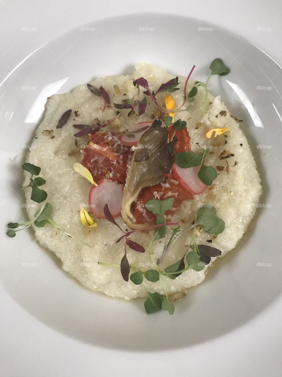 Elegant take on classic grits. Mushrooms, radishes, and a small salad of micro greens result in a dynamic photo of this beautiful dish. 
