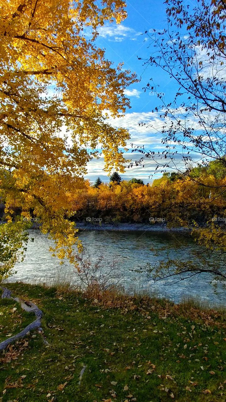 Refreshing early morning view of autumn in a mountain river valley.