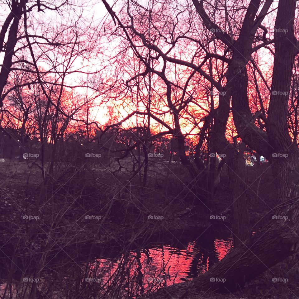 Sunset pond
