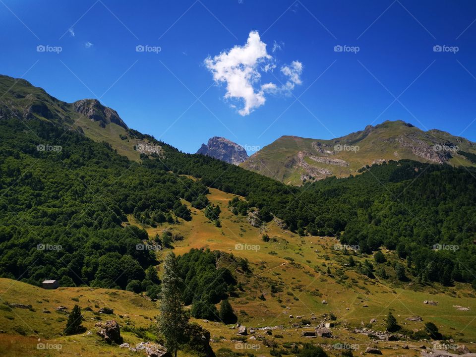 French mountain nature