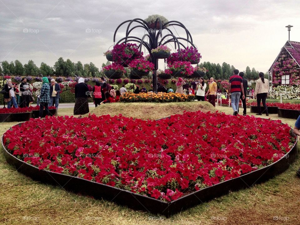 Red flower heart