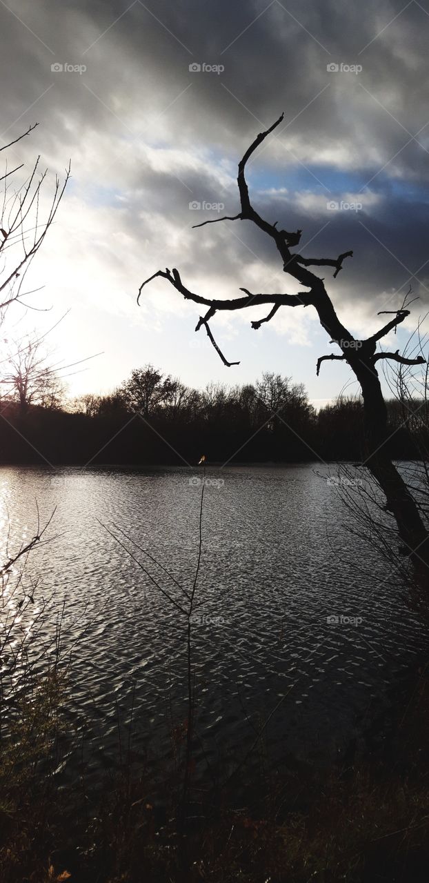 étang oisy le verger