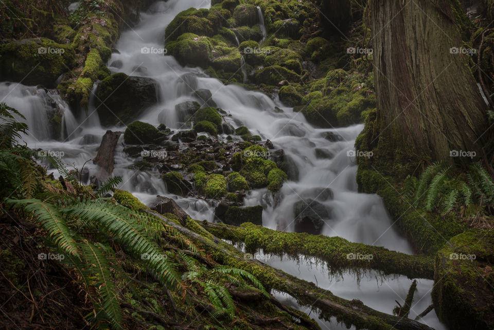 Waterfall in forest