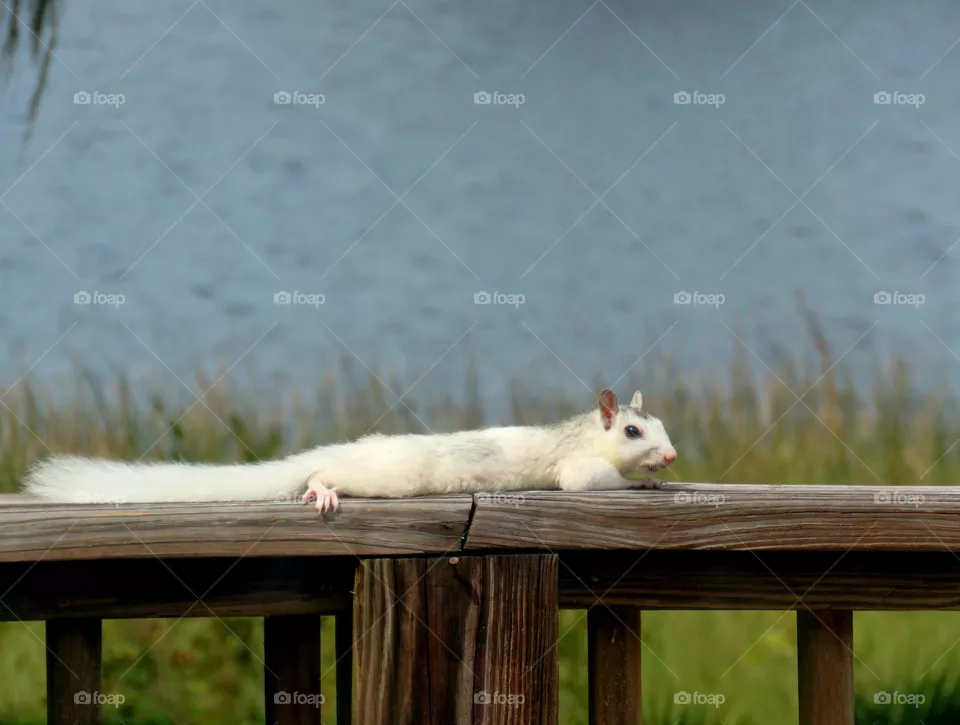 relaxing