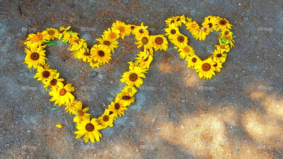 hearts and flowers