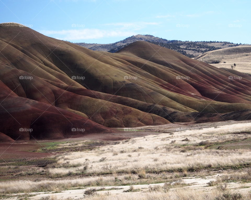 Deep rich reds and browns of the unique Painted Hills in the John Day National Monument in Eastern Oregon on a sunny day. 