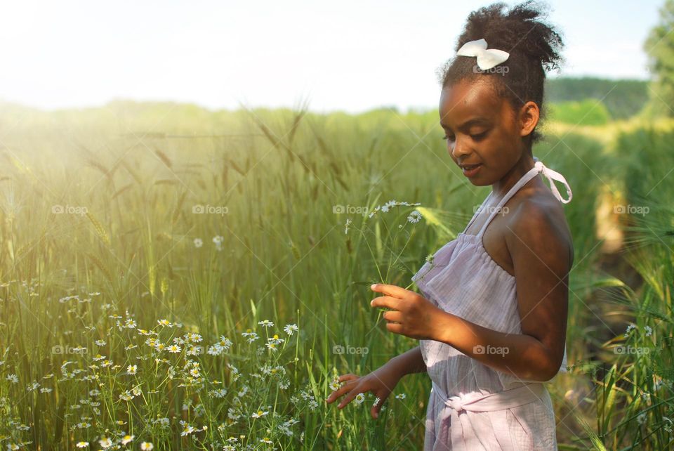 Girl walking barley fiels and picking flowers