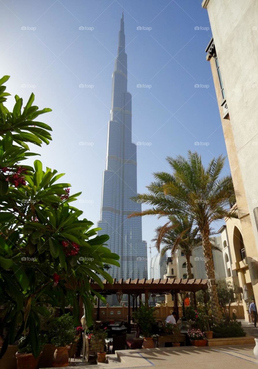 view of Dubai tower from urban garden 