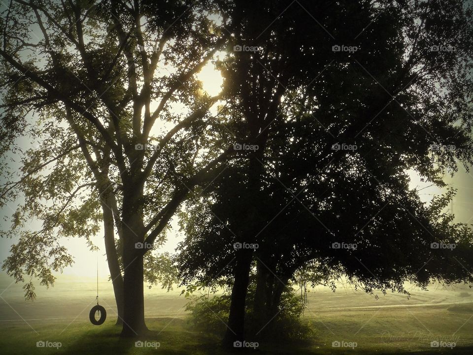 Worm glow of a foggy morning 