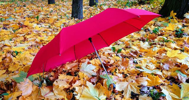 Autumn time 🍂🍁 Umbrella ☔ Outdoor 🍁🍂